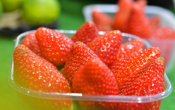 fraises-votre-marché